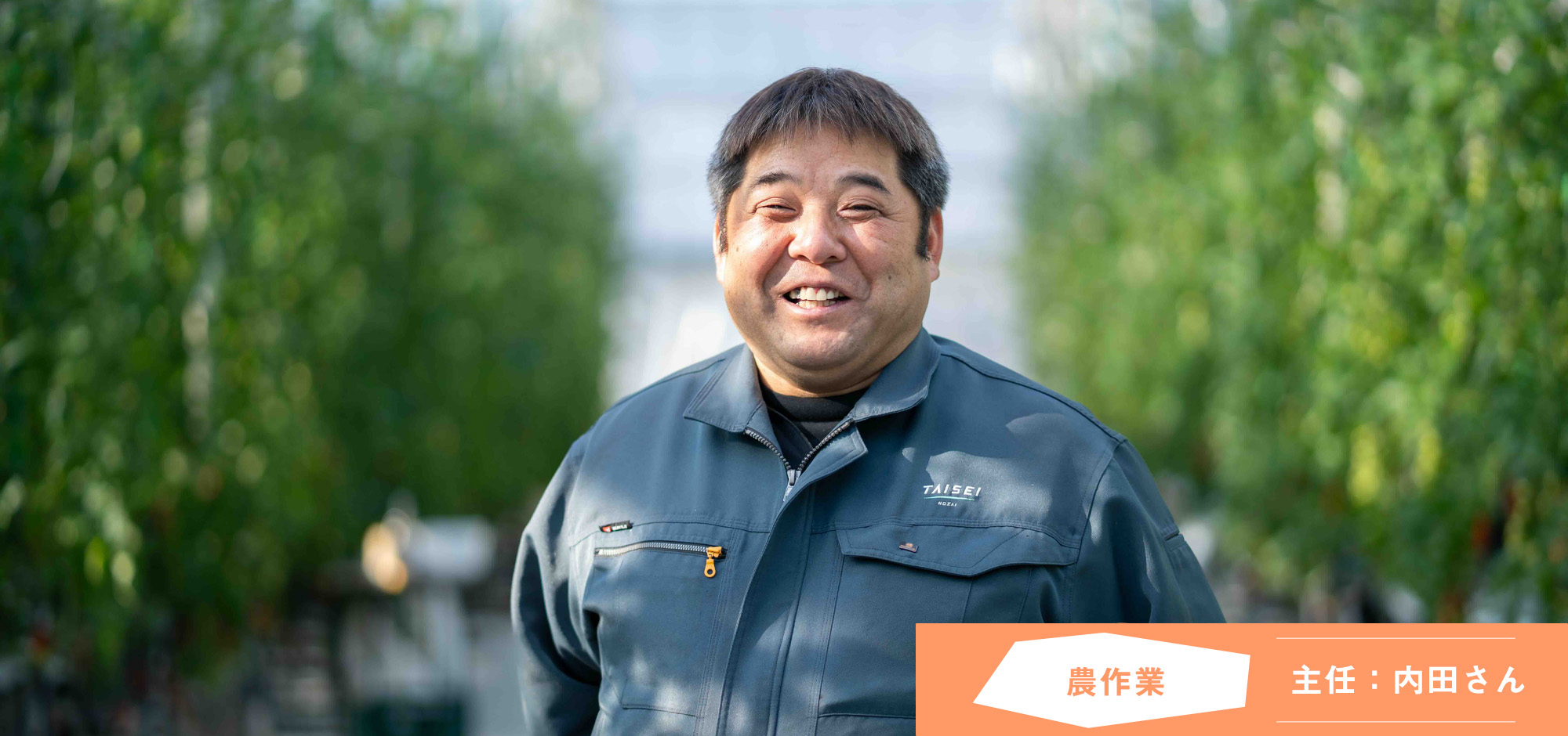 募集要項の画像