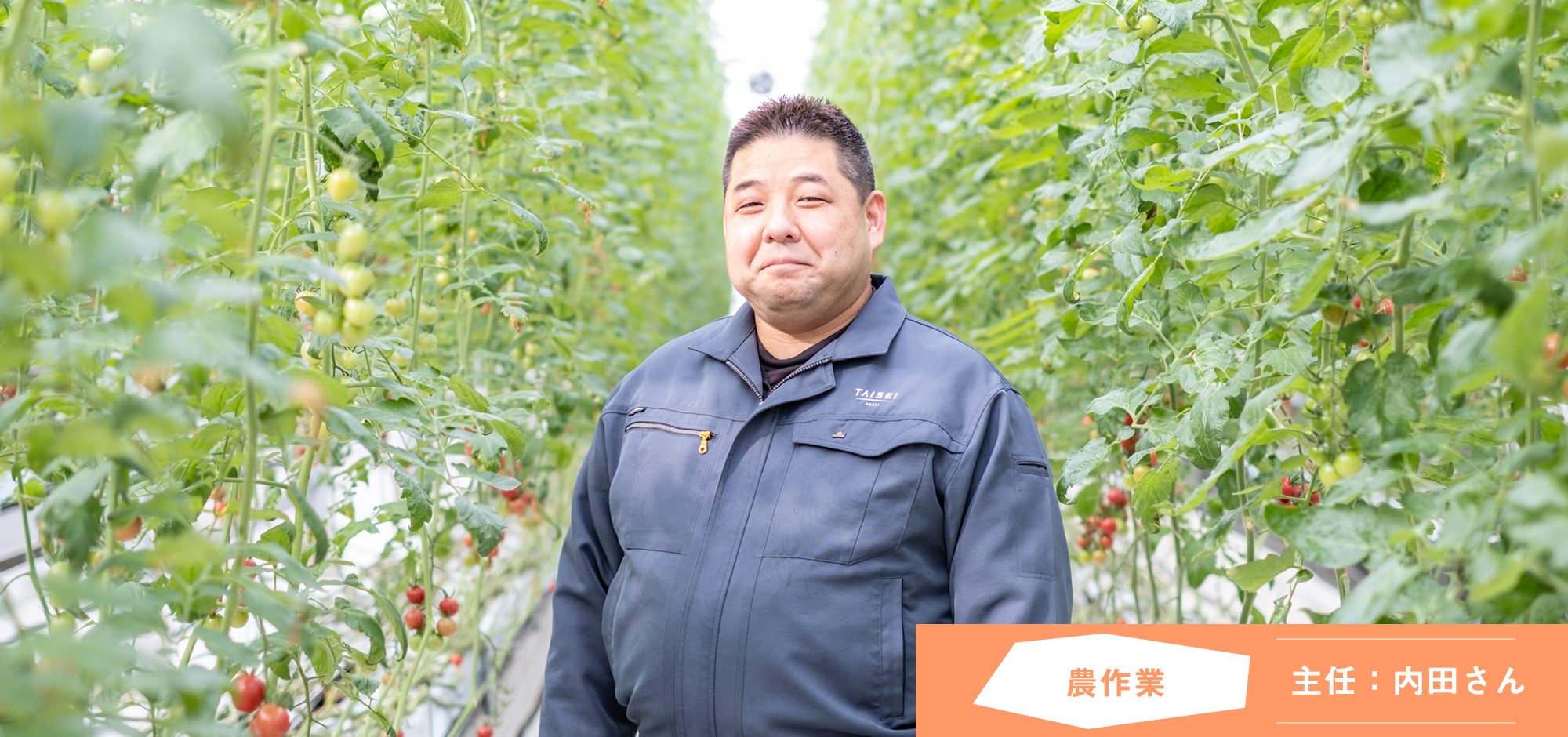 募集要項の画像