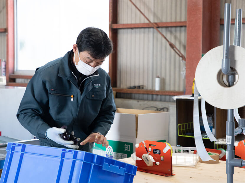 出荷場作業員募集