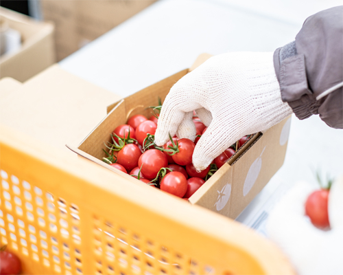 ��募集要項の画像