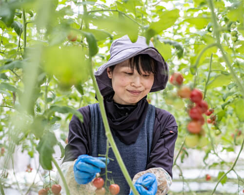 募集要項の画像